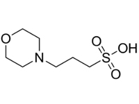 3-（N-嗎啡啉）丙磺酸，96%