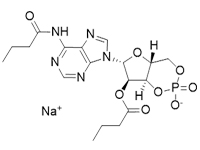 N6,2′-O-二丁酰基腺苷3′,5′-環磷酸 鈉鹽，97%