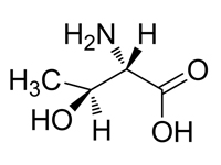 L-別蘇氨酸，95%(HPLC)