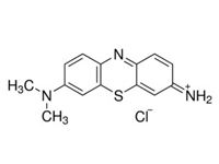 姬姆氏色素，BS