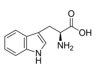 L-色氨酸，99%